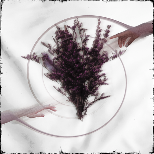 Take The Name - 'Limerence' CD (PREORDER)
